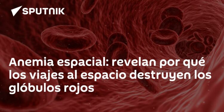 Anemia espacial: revelan por qué los viajes al espacio destruyen los glóbulos rojos