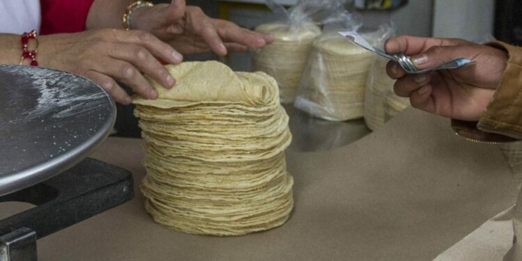 Bájale a las tortillas diarias, analizan incrementar el costo por kilo
