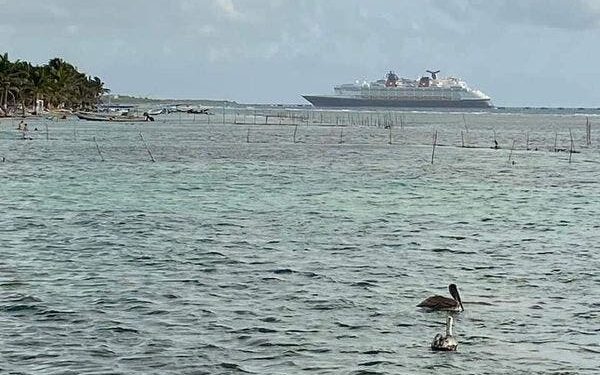 Cancelaciones de cruceros por Covid-19 ya golpean a Mahahual