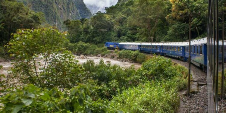 Es cierto que los trenes de Latinoamérica no son tan lujosos como los de Asia, EEUU o Europa (aunque hay excepciones), y en estas regiones Einstein estaría a gusto demostrando que aquí el tiempo es más relativo que nunca. O en todo caso, la puntualidad.