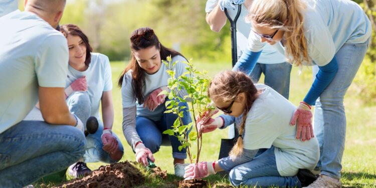grupo de voluntarios felices plantando árboles en el parque