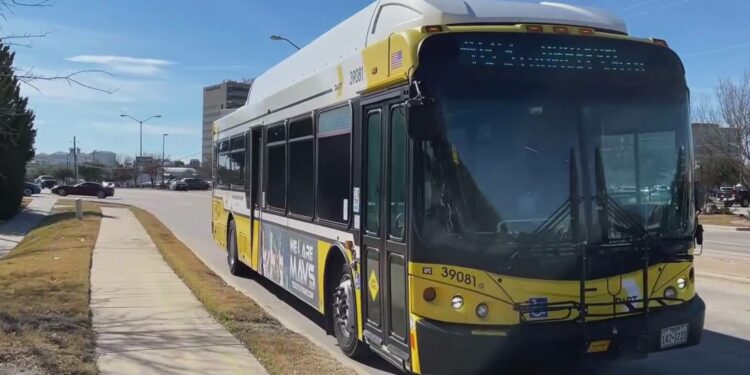 Dart ofrece viajes gratis y al 50% de descuento para la próxima semana | Univision 23 Dallas Ft. Worth KUVN