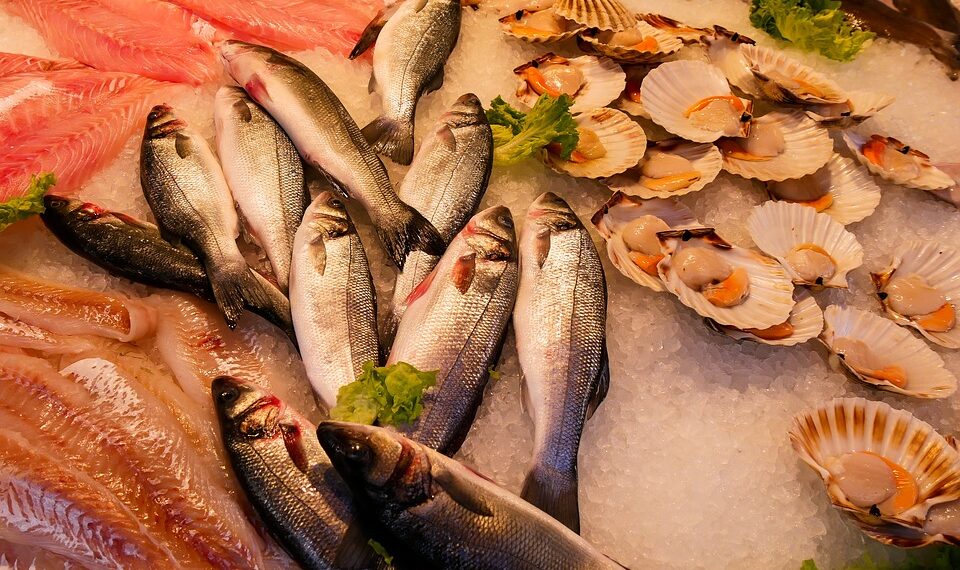 Destacan tendencia saludable y sustentable de los "blue foods"