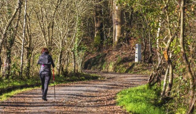 EMPRESA / La Agencia Tubuencamino expande a 18 países la posibilidad de realizar el Camino de Santiago