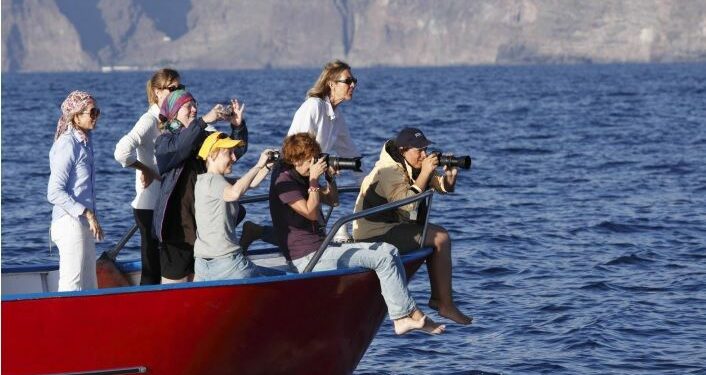 Turistas observando cetáceos en las costas del sur de La Gomera./ Martin Siepmann (AGE)