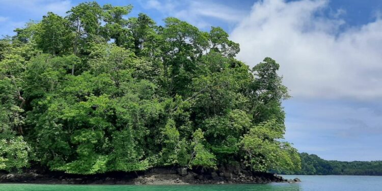 Golfo de Chiriquí es visitado por turistas de cruceros
