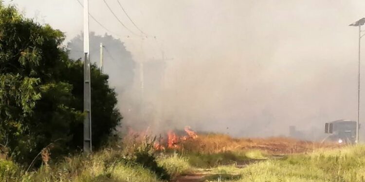 Incendio de gran magnitud en Carapeguá - Nacionales