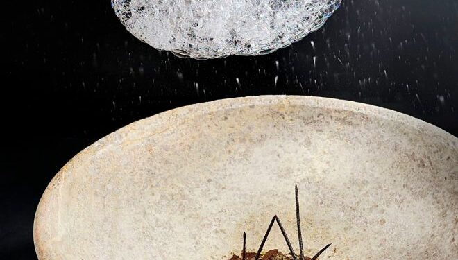 Jordi Roca crea Bosque Lluvioso, el postre que llueve sobre el plato.