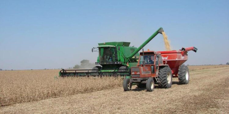 La Nación / Paraguay exportó menos soja por merma en la producción