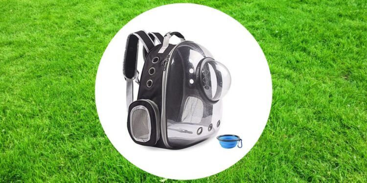 Las 6 mejores transportadoras para viajar con tus mascotas - sabrina-2022-01-26t020723033