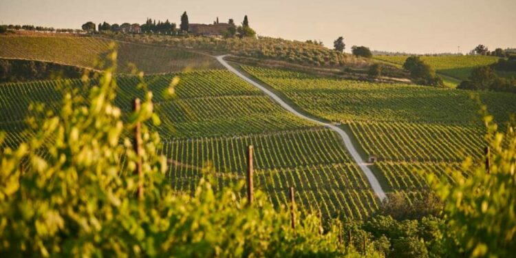Alerta winelovers. Si eres de los que, como nosotros, piensa que en torno al vino se pueden vivir grandes experiencias que incluyen arquitectura, cultura, gastronomía y, por supuesto, sabor, sabrás ya puedes considerarte enoturista o aficionado al enoturismo.