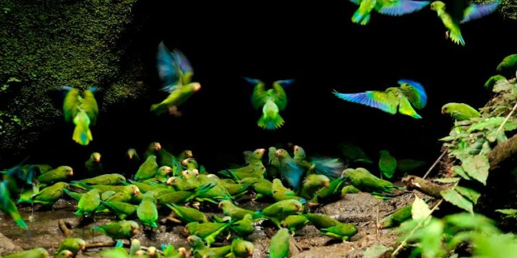 Los mejores destinos para visitar en 2022, según National Geographic