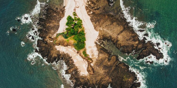 Caribe