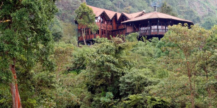 Lugares en Colombia donde se puede dormir en la copa de los árboles