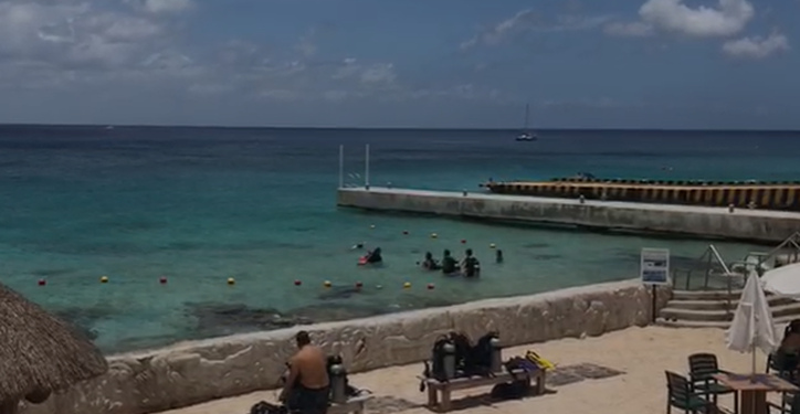 Muelle de cruceros en Cozumel atenta contra el ambiente; Cemda se ampara