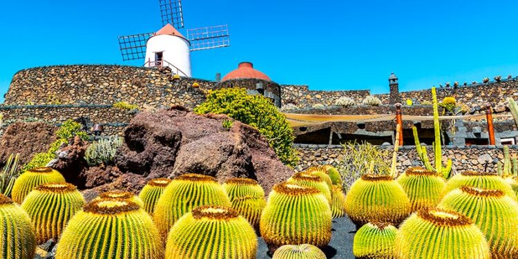 Jardín de cactus en Lanzarote