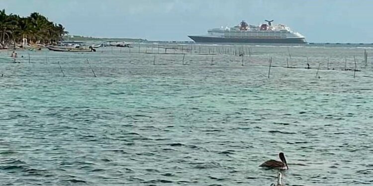 Ómicron causa suspensión de arribos de cruceros de Norwegian Cruise Line a Mahahual
