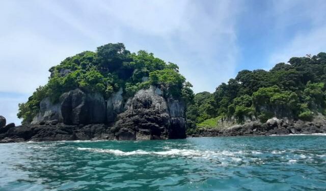 Parque nacional marino Golfo de Chiriquí recibe turistas de cinco cruceros