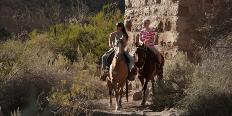 PreViaje: extensión de carga de comprobantes hasta el 3 de enero