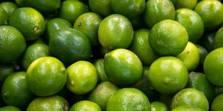Precio del limón empieza a bajar, dice la Profeco