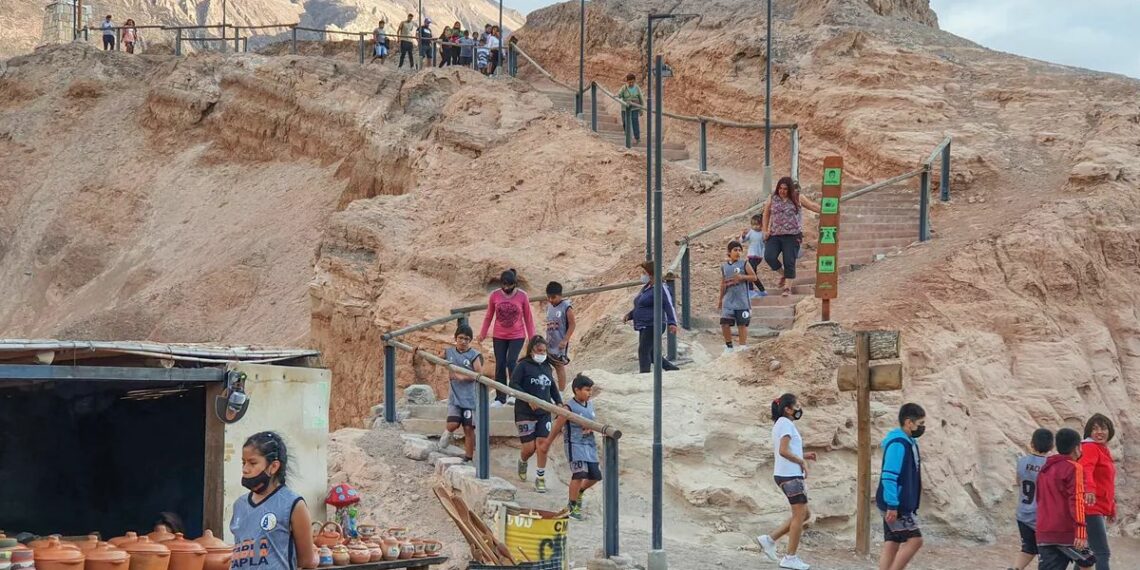 Preocupa la proliferación de agencias ilegales – Jujuy al día®