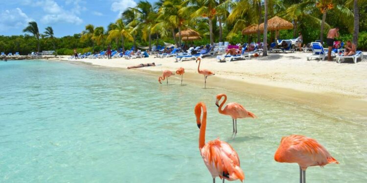 Destacan a Roatán por su belleza