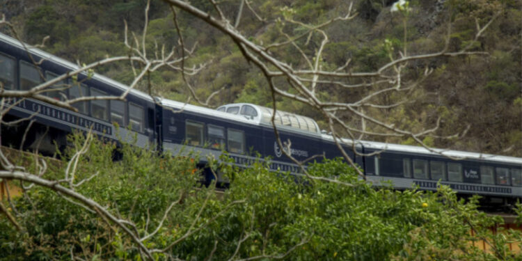 Antes, el tren Chepe Regional era el único que existía y hacía su recorrido desde Chihuahua hasta Los Mochis diariamente en las dos direcciones. ESPEC