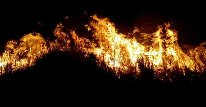 Video. Incendios: así ardieron esta semana 600 hectáreas de los Esteros del Iberá, en Corrientes