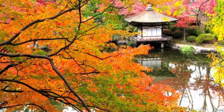 Japón