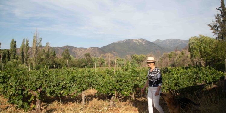 una escapada sabrosa y con los mejores vinos