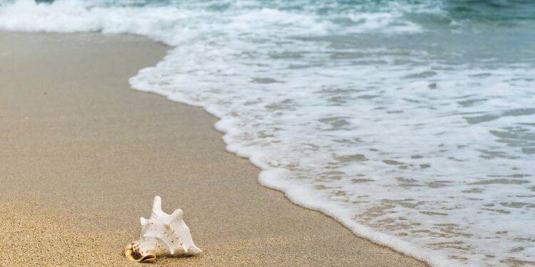 ¿Cuándo empiezan los primeros viajes del Imserso Navarra 2022? Foto: pixabay.