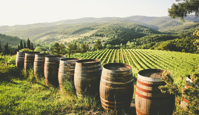 ¿Por qué España es el país con más viñedos del mundo?