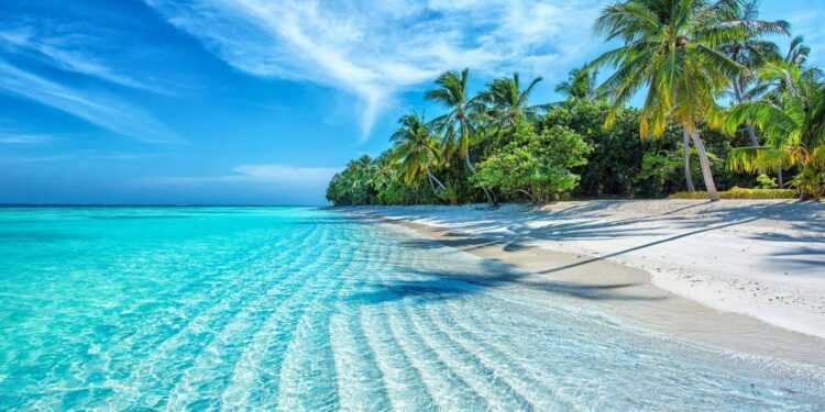 ¿Qué se puede ver y hacer en el Caribe durante el invierno?