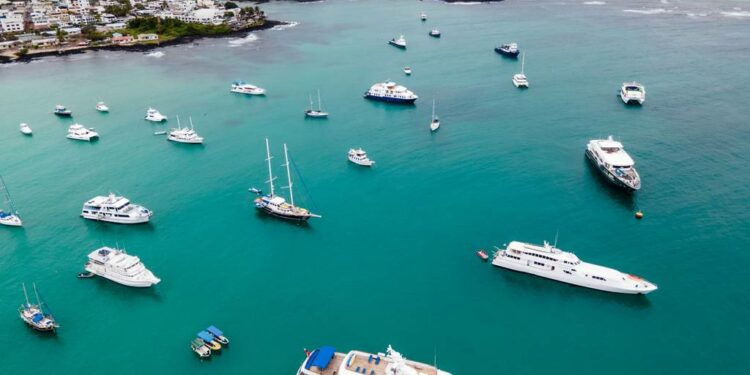 ¿Tour por las Galápagos? Los cruceros más lujosos y sostenibles para visitarlas