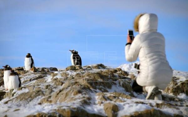 La aventura de visitar la Antártida en un crucero desde la mágica Ushuaia
