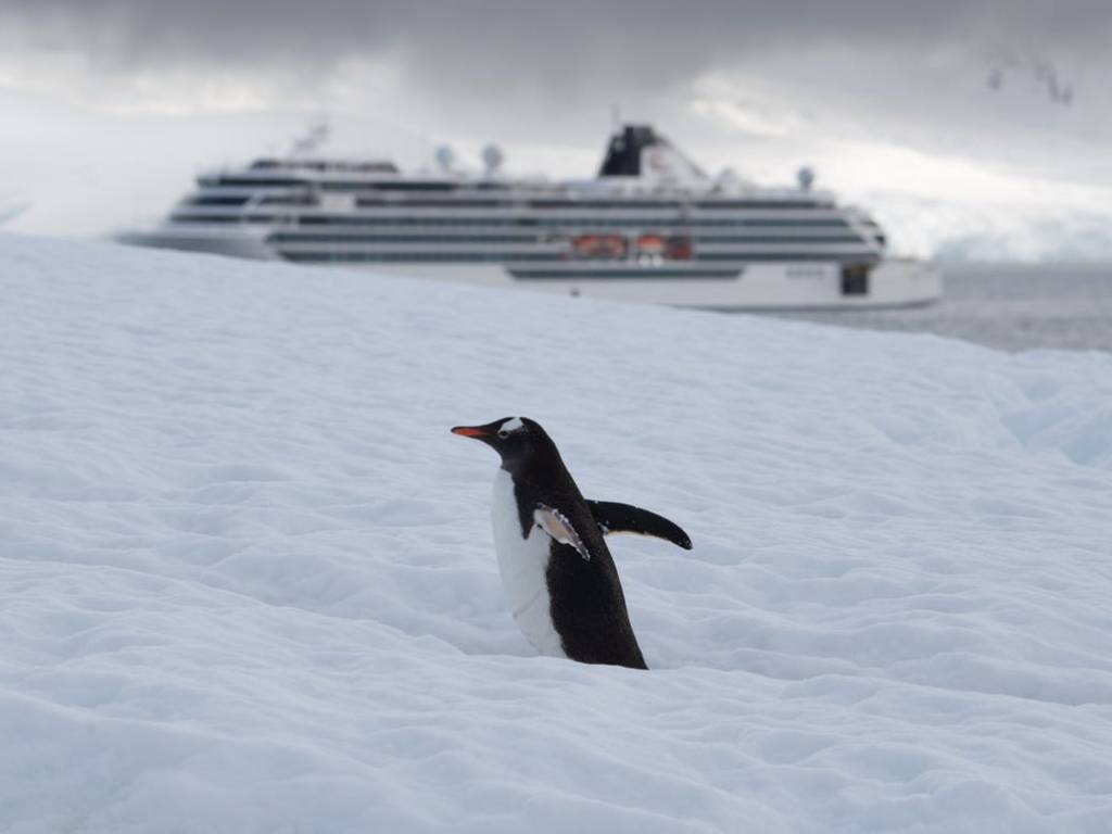 cruceros