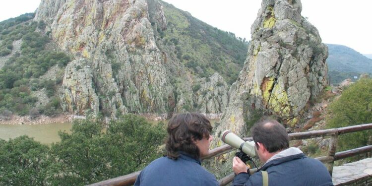 De pajareo por Extremadura