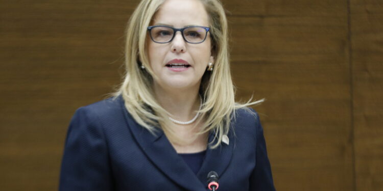 Defensoría observará elecciones de este domingo