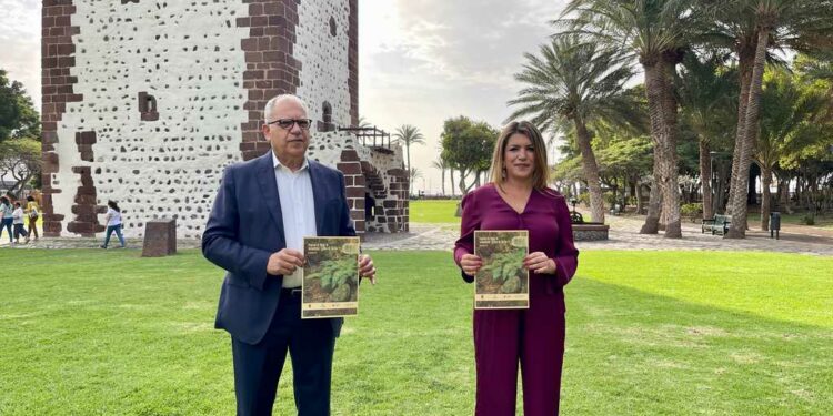 El Cabildo obtiene 3,3 millones de euros para actuaciones de sostenibilidad turística