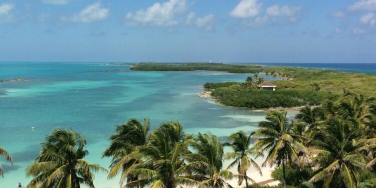 El secreto mejor guardado de Isla Mujeres con bellísimos arrecifes para bucear
