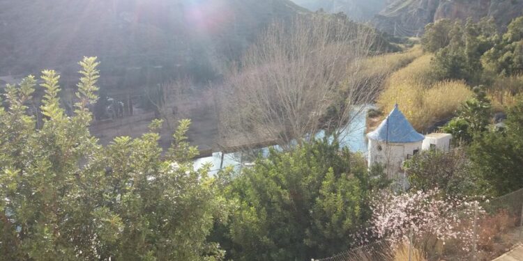 El viaje - Levante-EMV