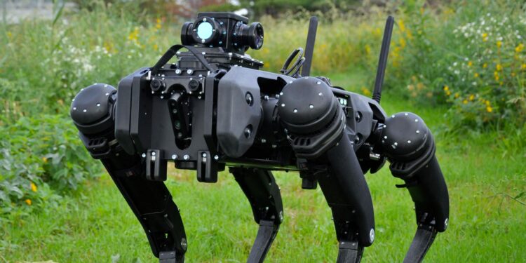 Estados Unidos considera usar perros robots para cuidar frontera