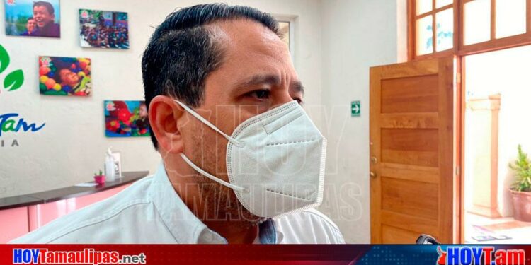 Hoy Tamaulipas - Tamaulipas Descartan casos de explotacin laboral infantil en Ciudad Victoria