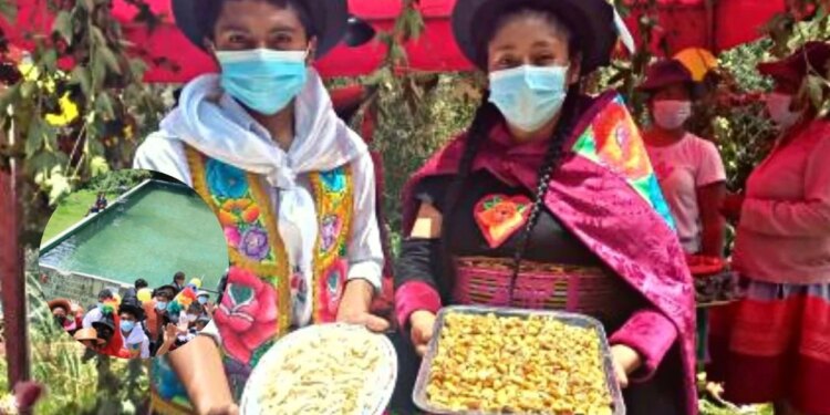 Huancayo: Carhuappacha, el paraíso que debes visitar durante tu estadía en la región huancaína