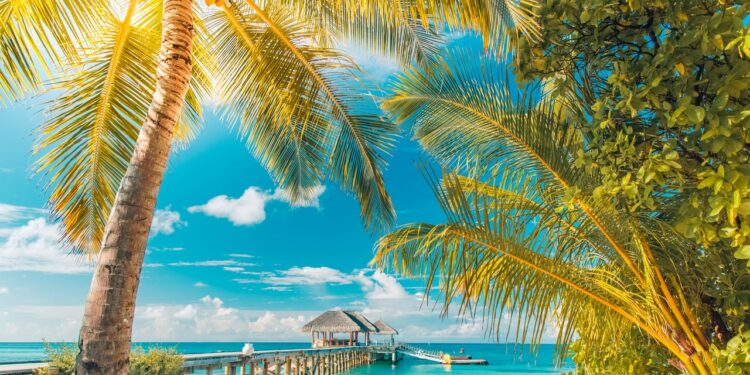 GQ México y Latinoamérica