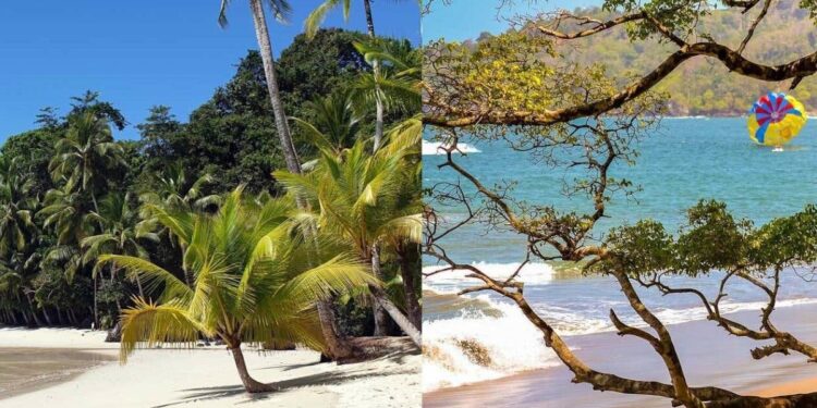 Los mejores Parques Nacionales de Centroamérica: ¿Coiba o Manuel Antonio?