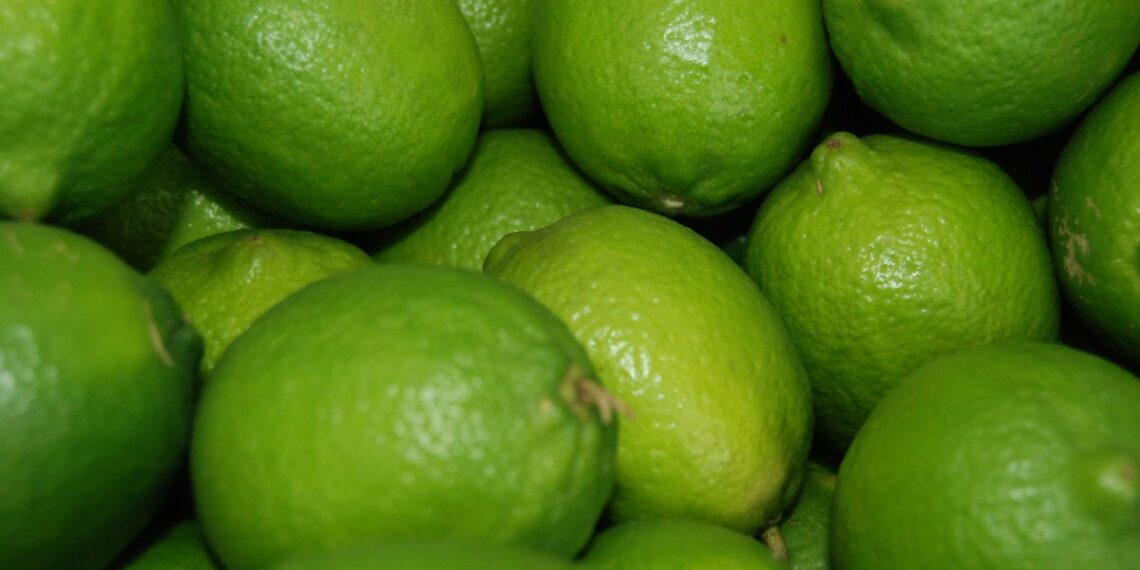 El limón es un producto que es muy utilizando por los mexicanos durante todo el año.