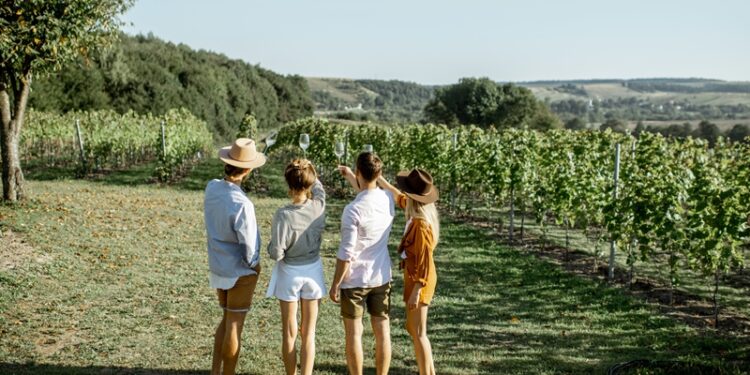 Ranking de los mejores destinos de España para hacer enoturismo