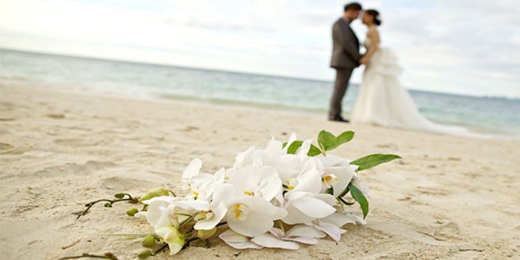 TV4 Noticias | Nueva normalidad ‘Bodas en la Playa’