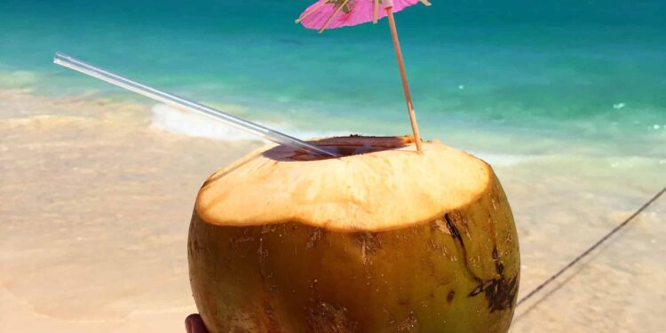 ¿Por qué elegir Punta Cana en un viaje por República Dominicana? — Conocedores.com